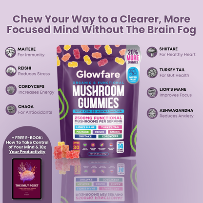 Brain Boosting Mushroom Gummies