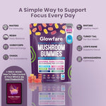 Functional Mushroom Gummies