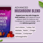 Functional Mushroom Gummies