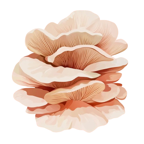 Maitake