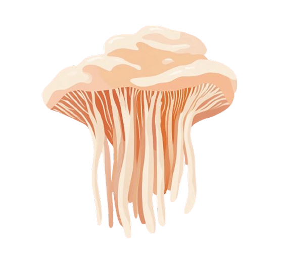 Lions Mane