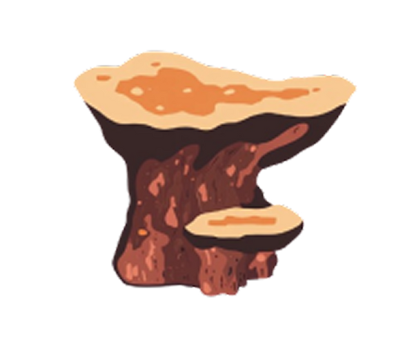 Chaga